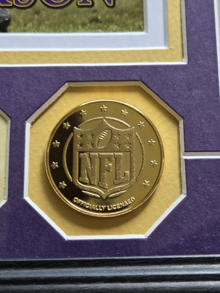 罕见 Highland Mint Adrian Peterson 带框限量版 照片和镀金硬币  — 第 4/4 张图片