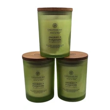 Lot of 3 Chesapeake Bay 8.8oz Candles Awaken + Invigorate Lemongrass Eucalyptus
