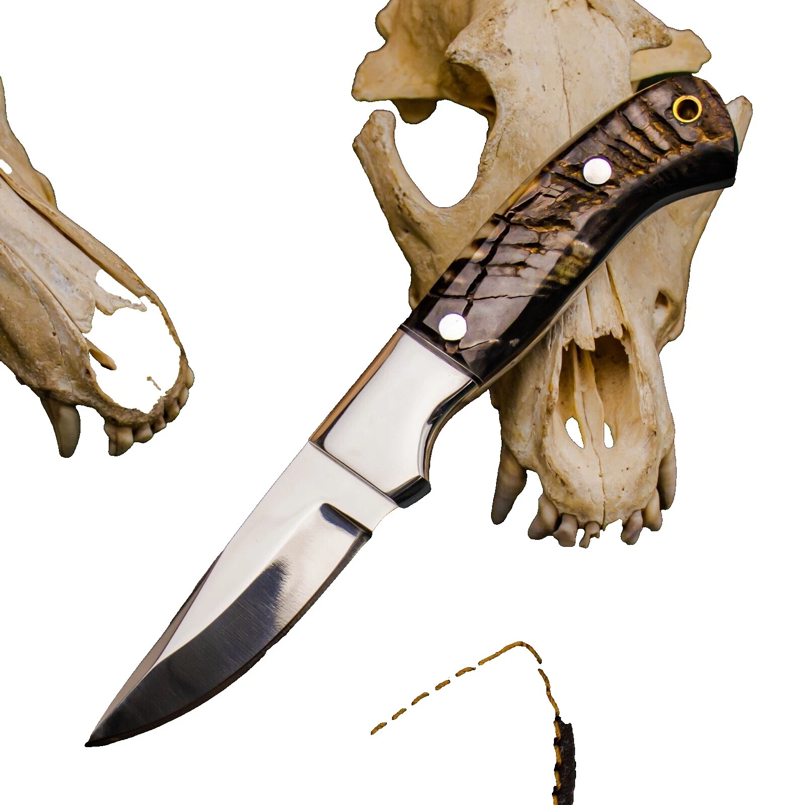 Push Collectible Modern Bowie Knives Fixed Blade Knives