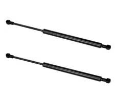 Set of 2 Rear Trunk Lift Shocks Struts Dampers OEM STABILUS 51248254281 for BMW