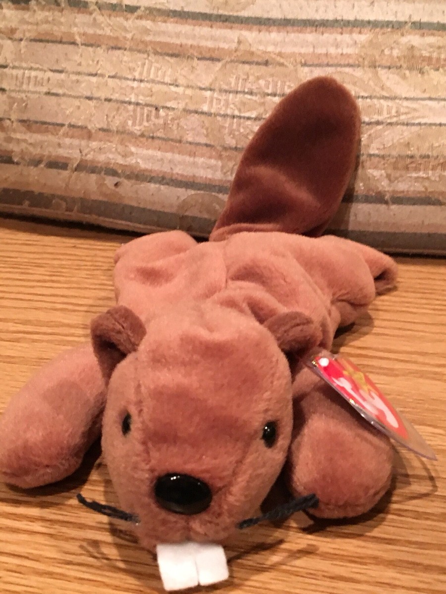 Ty Beanie Baby Bucky the Beaver style 4016 DOB 6-8-95 MWMT | eBay