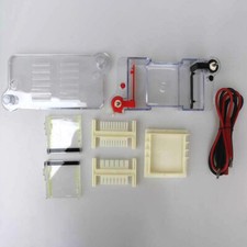 Horizontal Electrophoresis Tank High School Biological Equipment 122-3122 27022