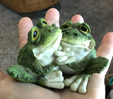 Frogs Hugging Love Comforting Keeping Warm 3 ...