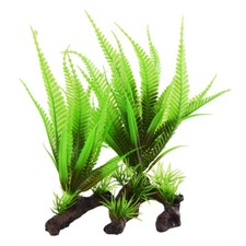 RA Ferns On Roots 2 Pack