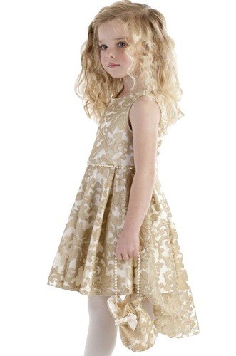 green emerald velvet dress Buy Biscotti Big Girls' Drop Waist Dress with Fringe Skirt, Gold, 8 at  Amazon.in