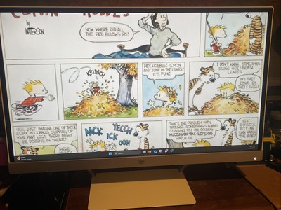 HP Pavillion 23XW 23-in IPS LED Ultra-Wide 1920x1080 60HZ Monitor