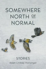 Somewhere North of Normal, Paperback by Honsinger, Adam Lindsay, Brand New, F...