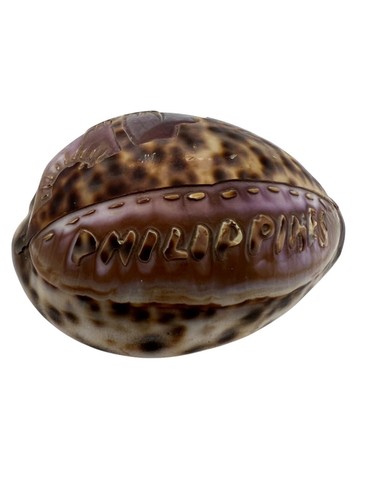 Hand-Carved Purple Tiger Cowrie Shell With Beach Scene From Philippines 3" Long