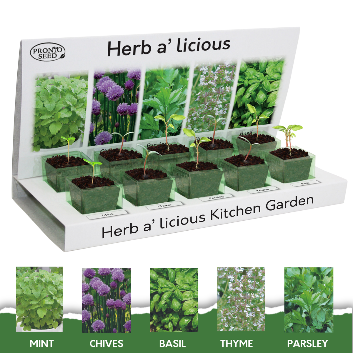 Container Gardening Kit Kitchen Herb Windowsill Garden Kit Review