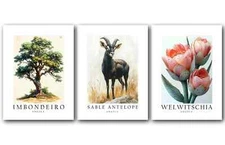 Angola National Symbols, Set of 3 Poster Prints, Wall Art Home Décor, Unframed