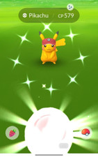 Pokemon New Release Shiny Nate's Visor Pikachu Registered Or 30days