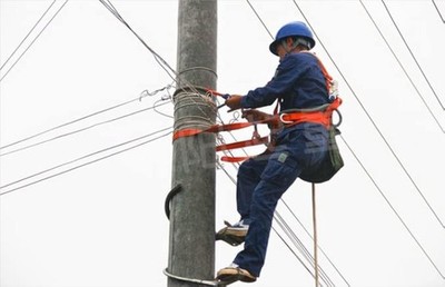 Electric Utility Pole Climbing Set,Pole Climbing Shoes with Adjustable Diamet...
