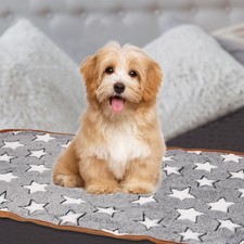 PETAXCELL Pet Blanket, Medium Soft Fluffy Flannel Star 21x30 Inches, Gray