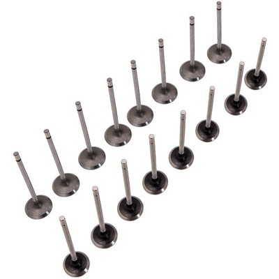 Einlassventil Auslassventil for Renault 1,4 1,6 Clio Kangoo Megane Laguna Sceni