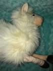 Bild 11 von 11