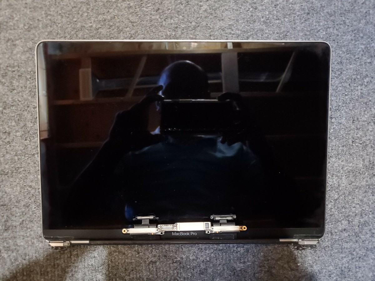 Genuine Apple MacBook Pro 13 A1706 2017 EMC3163 Space Gray Display