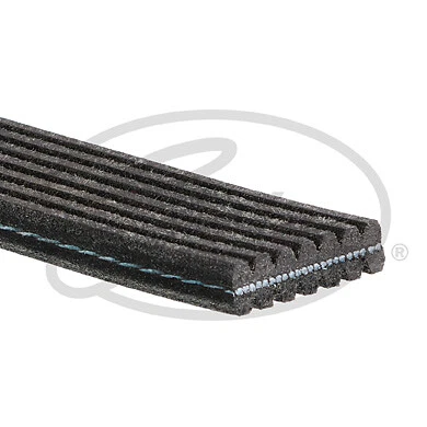 Gates V-Ribbed Belts Fits VW Phaeton (2002-2008) 3.2 5 Year Warranty G3682 - Image 3 of 4