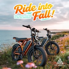 TST 20" FAT TIRE ADULTS ELECTRIC BIKE 1500W PEAK 32MPH 48V 15AH MOUNTAIN EBIKE