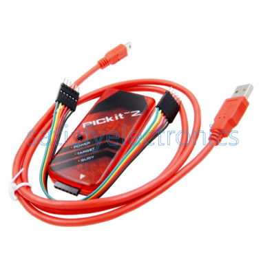 microcontrollers PICkit2 PIC KIT2 debugger programmer for PIC24 PIC32 PIC dsPIC