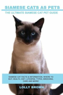 Siamese Cats As Pets: Siamese Cat Facts Information, Where To