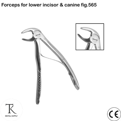 Chirurgische Instrumente Zahnzange für Kinder lower incisor & canine fig.565 Neu