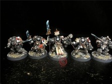 Warhammer 40K DPS painted Grey Knights Terminator Squad SK6843