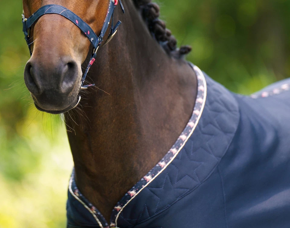 Angebot! 🔍 Imperial Riding Abschwitzdecke Mini-Shetty Feenstaub - Bild 2 von 4