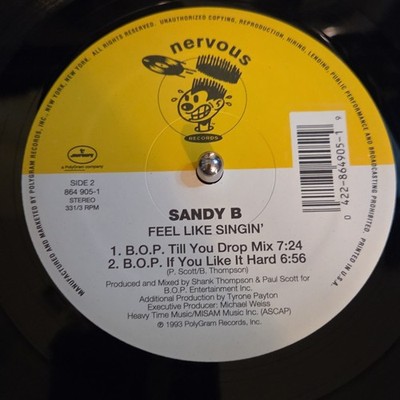 Sandy B Feel Like Singin' 12'' Vinyl Single 1993 Nervous 33 RPM Stereo 864 905-1
