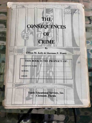 CONSEQUENCES OF CRIME YOUTHFUL OFFENDERS DELINQUENCY RECOVERY PB OOP BOOK 1981