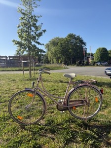 Damenfahrrad Gebraucht Berlin | eBay.de