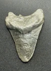 Custom Silver .999 Shark Tooth Ingot 32.2 Grams Silver Bullion