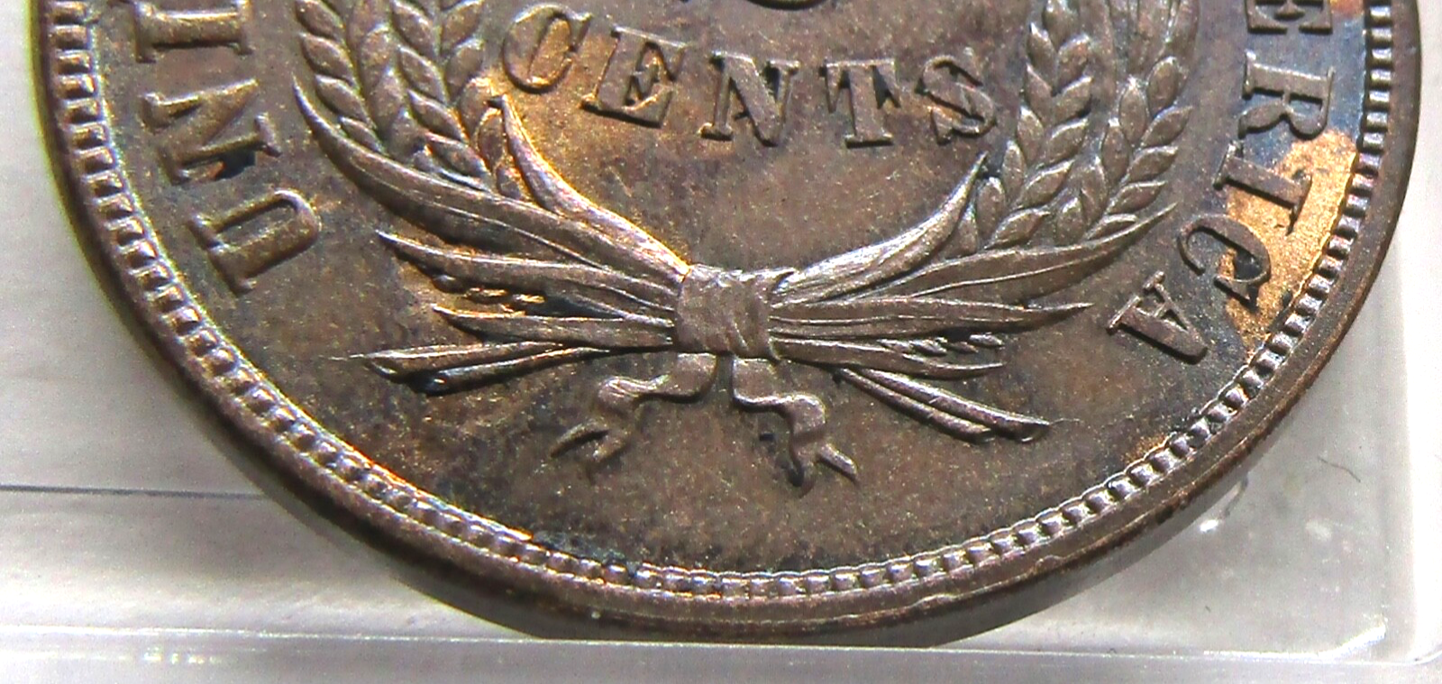 Picture 6 of 6