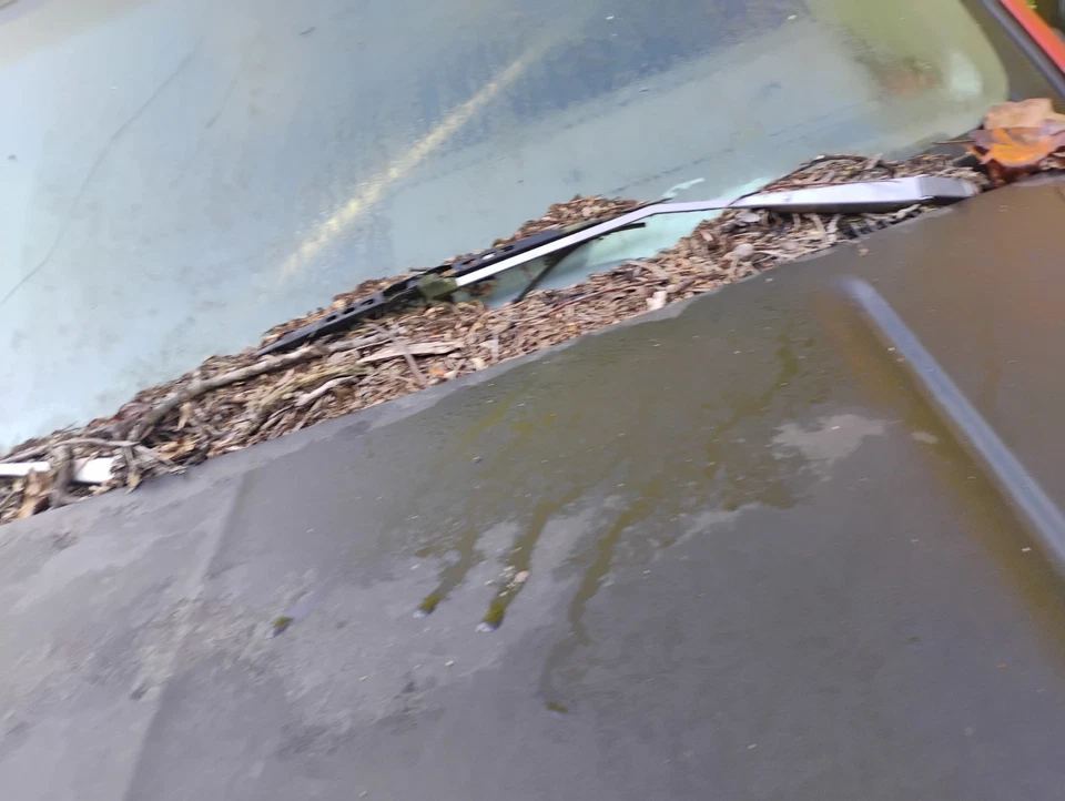 Juego de brazos limpiaparabrisas OEM para camioneta Chevy GMC 88-94 Foto 4 de 4