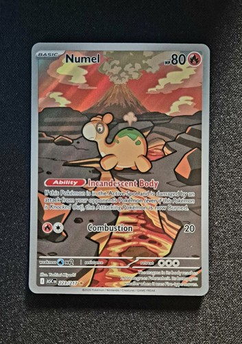 Numel 223/217 Ascended Heroes Illustration Rare Pokémon TCG Card NM/M
