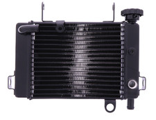 Radiatore acqua per radiatore Honda CBR 125 R-RW-RS 2004-2010