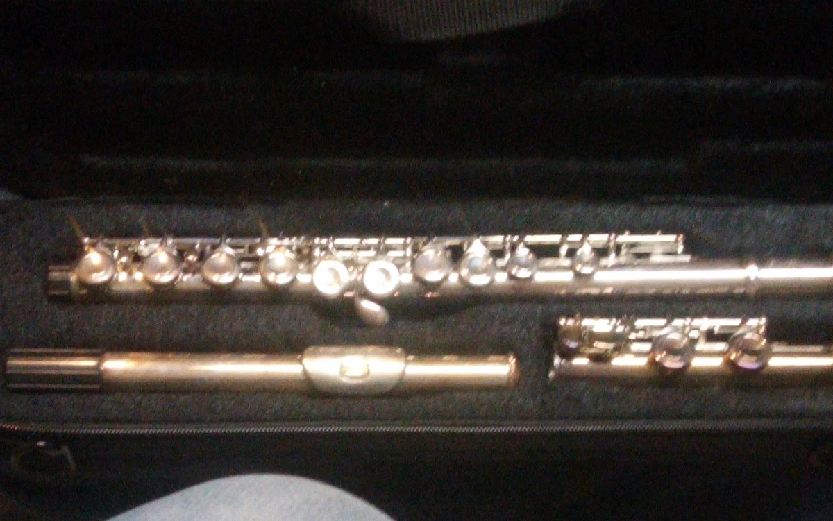 Trevor James Flutes for sale - eBay