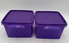 Tupperware Square Away Sandwich Keeper Container #1674 Set Of 2 Purple NOS