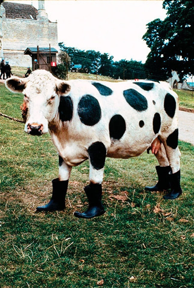 Top Secret! (1983)[Blu-ray /Neu/OVP] Val Kilmer, Peter Cushing, Jim Abrahams - Bild 4 von 4