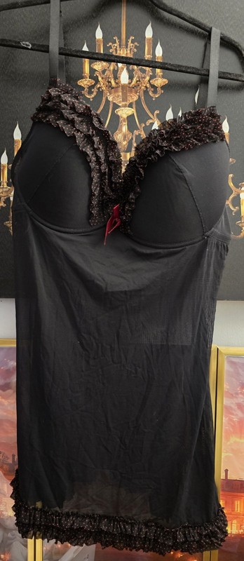 Ladies Beautiful Plus Size Negligee-Sheer-Size 22/24