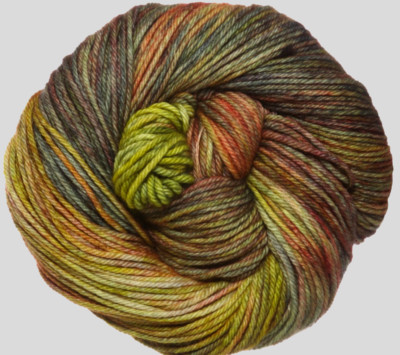 PRIMAVERA Earthy Multis 100g Skein 210yd Malabrigo RIOS Soft SW MERINO Wool YARN