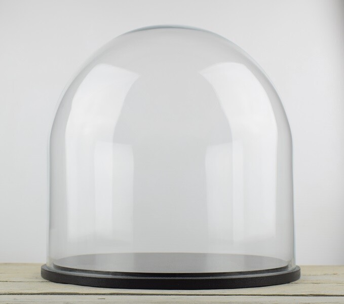 Large Glass Dome Display Cloche Bell with Black Wooden Base 35 x 35.5 cm