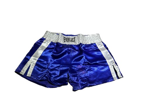 Everlast Boxing Trunks Shorts Mens Large Satin Training Gym | eBay