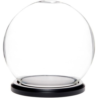 Plymor 6'' x 7'' Glass Display Dome Globe Cloche (Black MDF Wood Base)