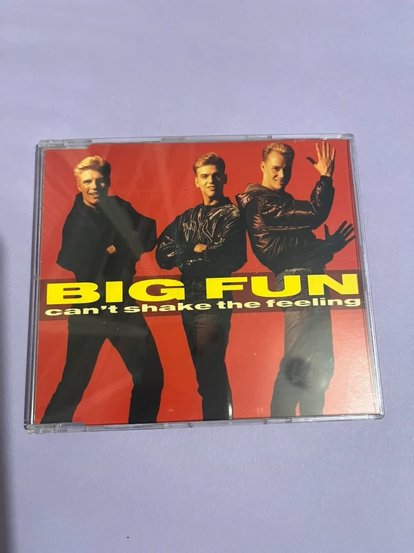 (CD72) Rare 1989 CD Single - Big Fun - Can’t Shake the Feeling