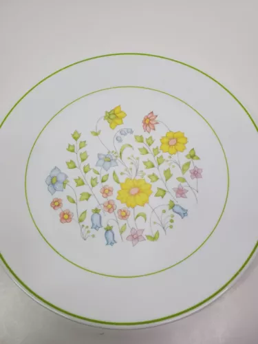 Vintage Corning Corelle 1977 Meadow one 10 1/4 in Dinner Plage