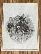Tri-Chem Liquid Embroidery Horse Colt Picture To Paint NO INSTRUCTIONS