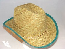 Straw Cowboy Hat Natural Grass Green Rim Adults Size Costume Fancy Dress NEW