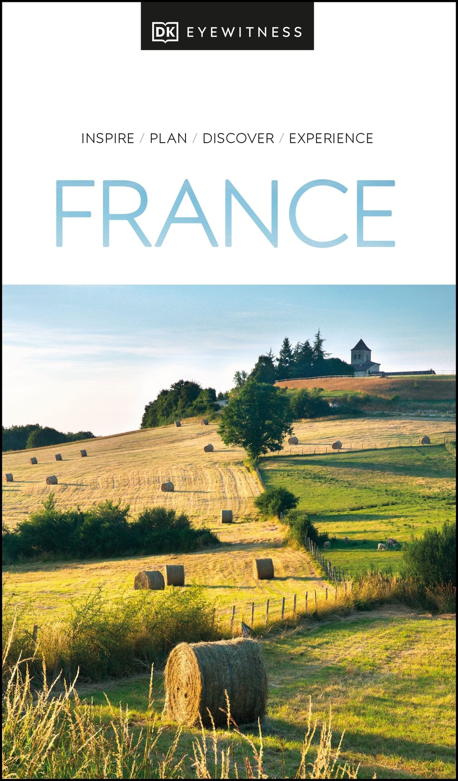 DK Eyewitness France (Travel Guide) by DK Eyewitness