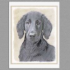 6 Flat-Coated Retriever Dog Blank Art Note Greeting Cards