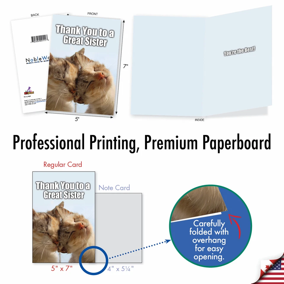 Tarjeta de humor de agradecimiento 9111 a una gran hermana - Tarjetas de felicitación divertidas Foto 3 de 4